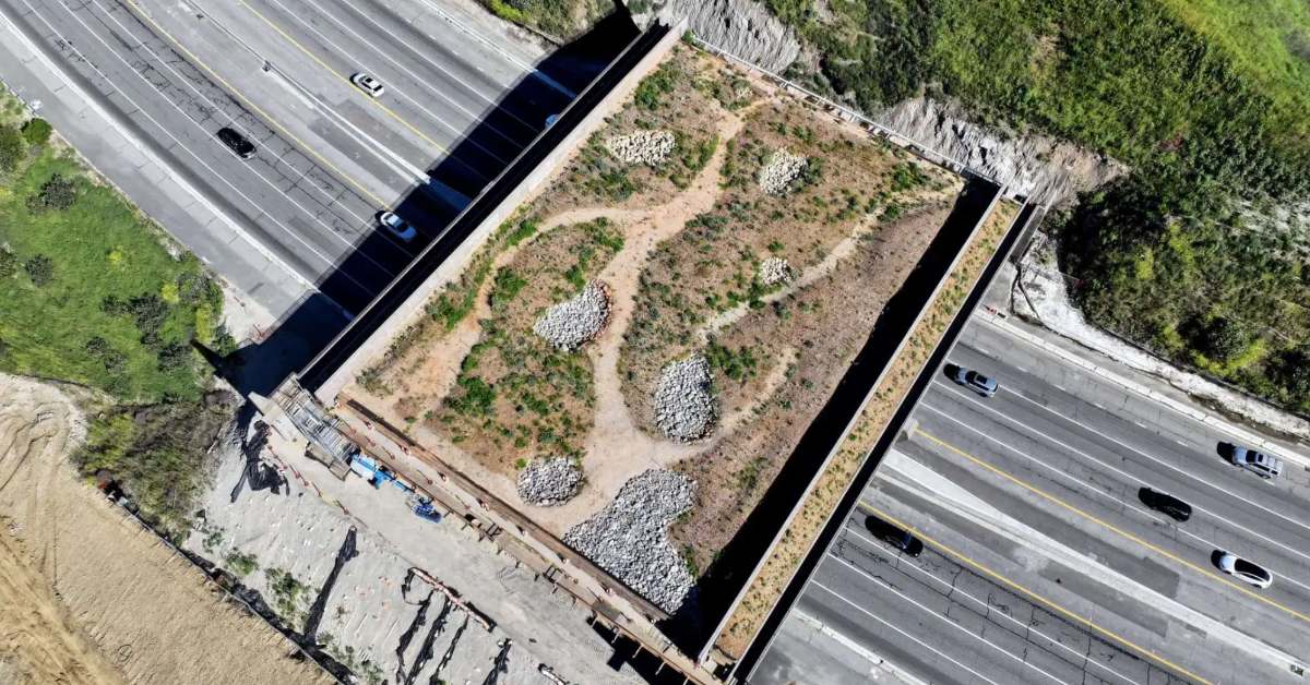An aerial view of the Wallis Annenberg Wildlife Crossing in L.A. Route 101. It is mostly complete.