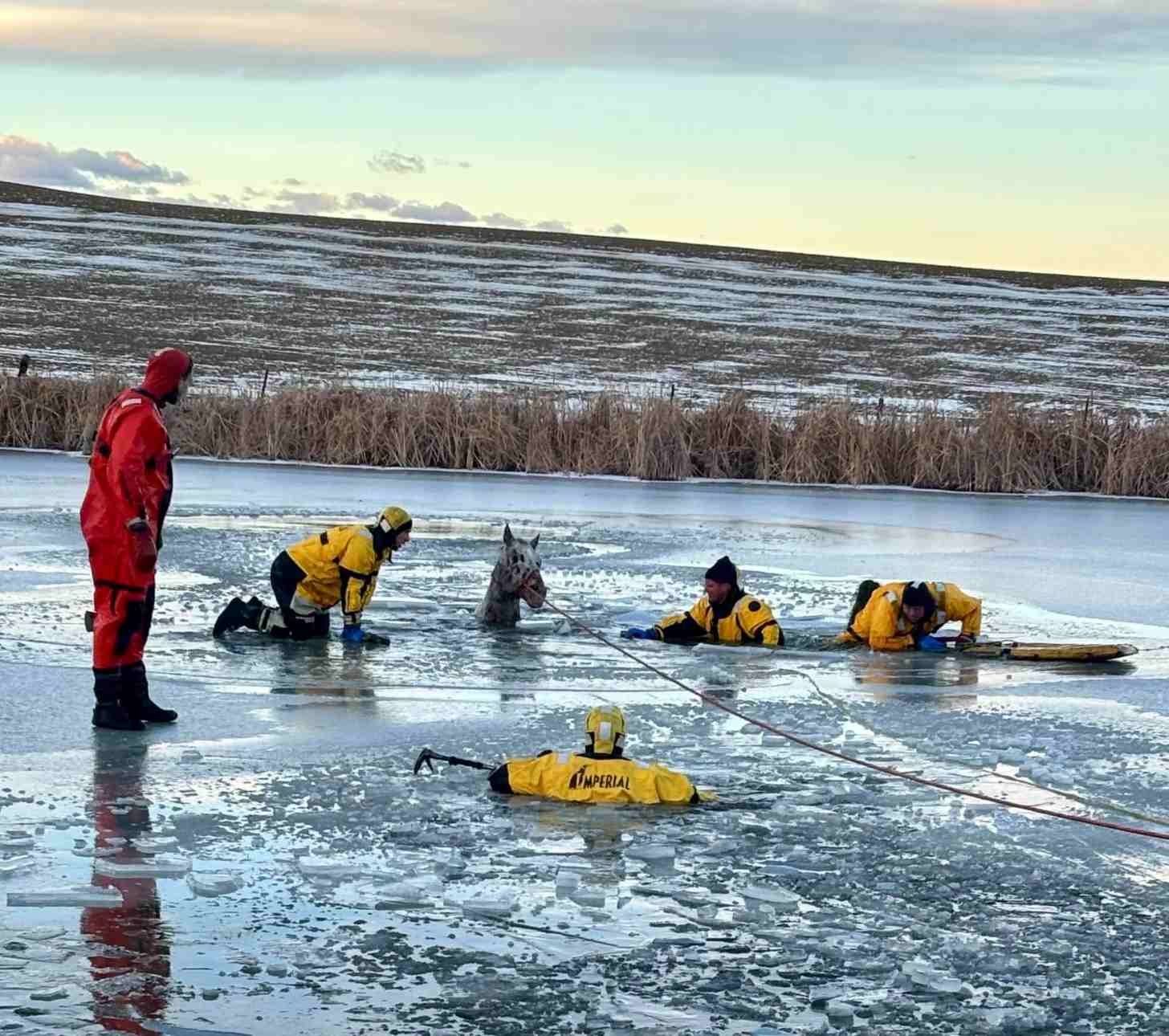 A crew of emergency responders work together to help a horse out of a freezing pond