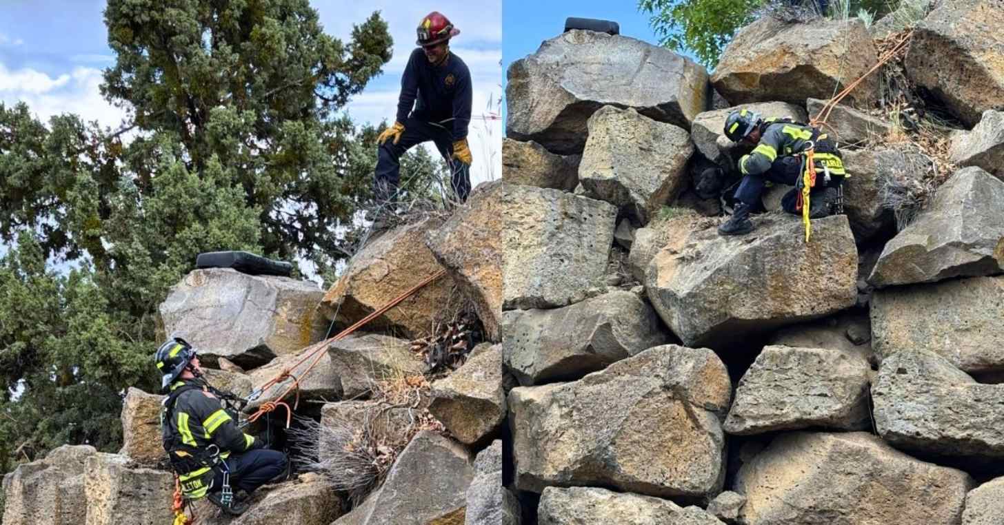 Two firefighters work together to save a brown dog trapped on a rocky cliff face