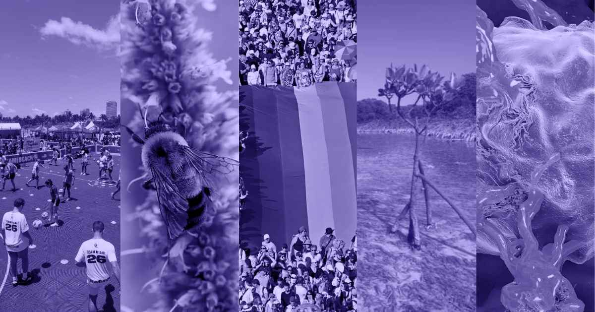 A photo collage of a group of people playing soccer at a fundraising event, a close-up of a rusty patched bumble bee, a crowd of people carrying a huge Pride flag at a parade, a mangrove sits in a body of water, and a 3D scientific illustration of an immune cell interacting with a larger cancer cell