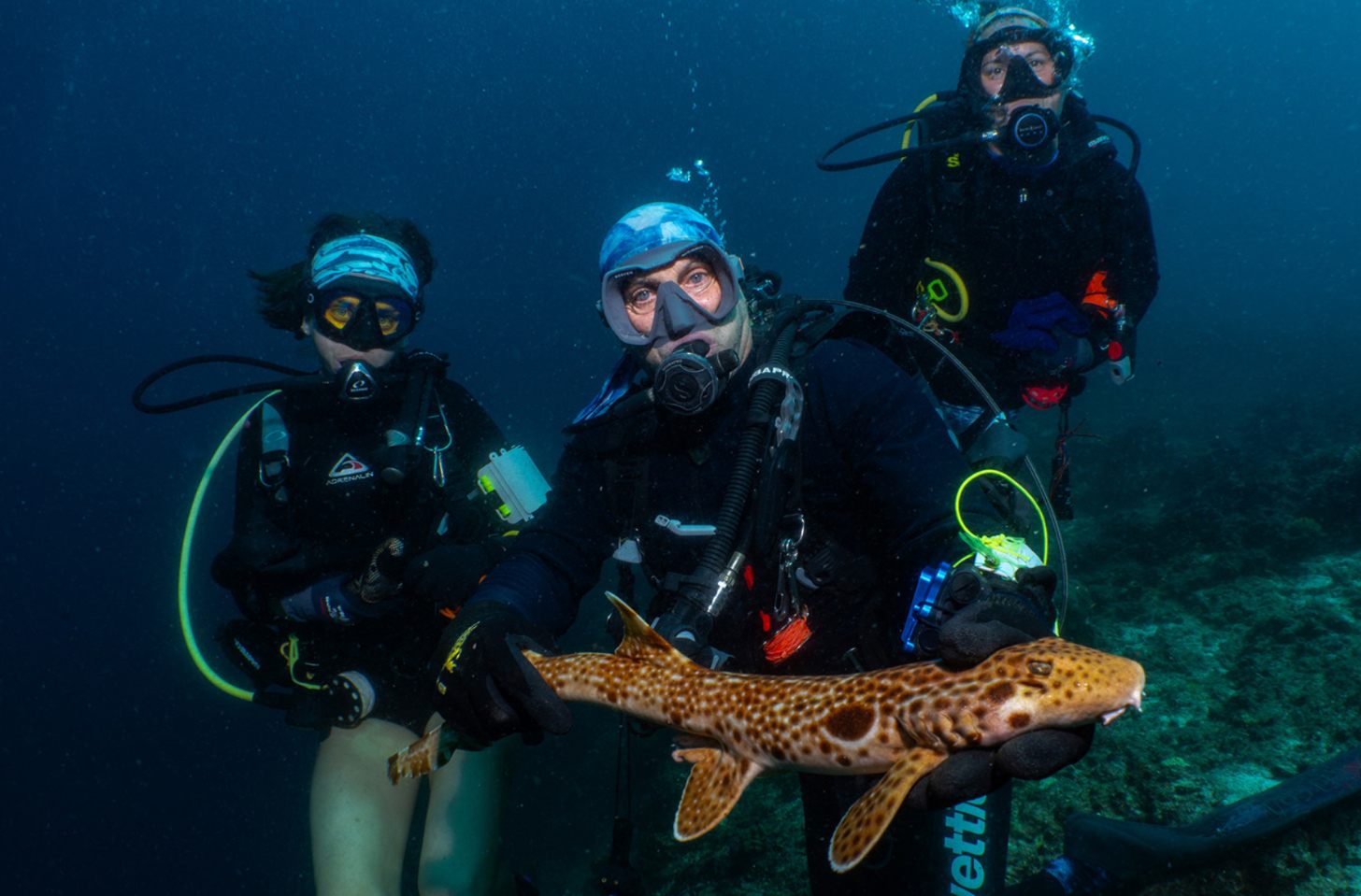 Three people, a young student and two older doctors, scuba diving under water with a walking shark