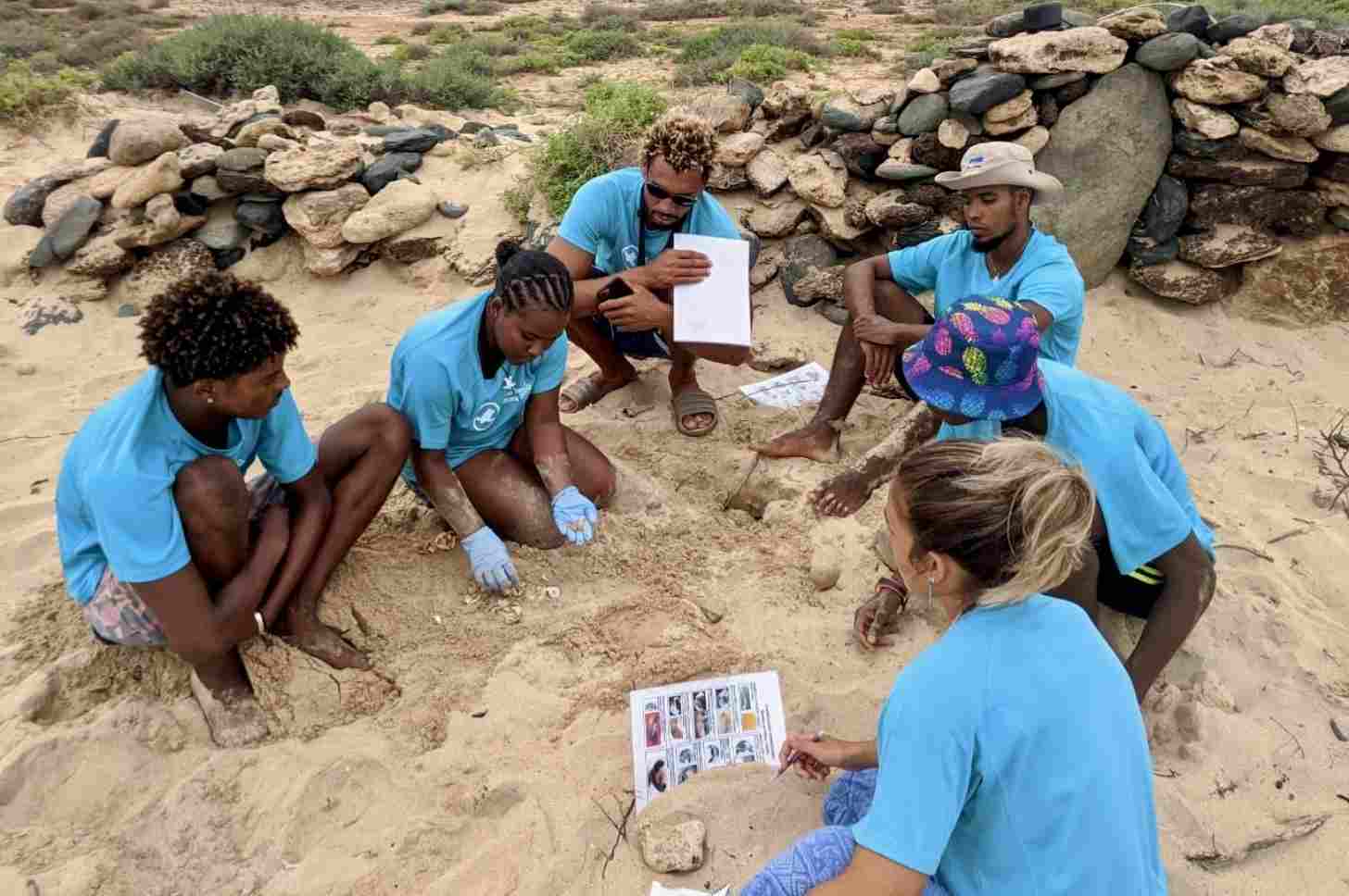 Six people in blue t-shirts sit in the sand learning to excavate turtle nests.
