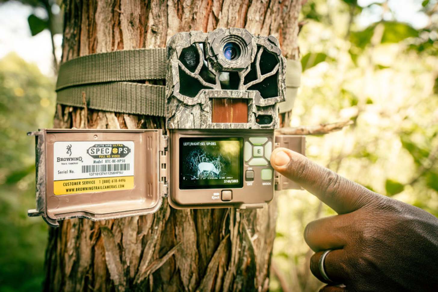 A person points to a trail camera attached to a tree