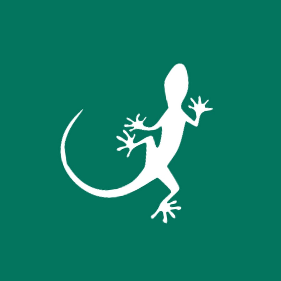 Mongabay