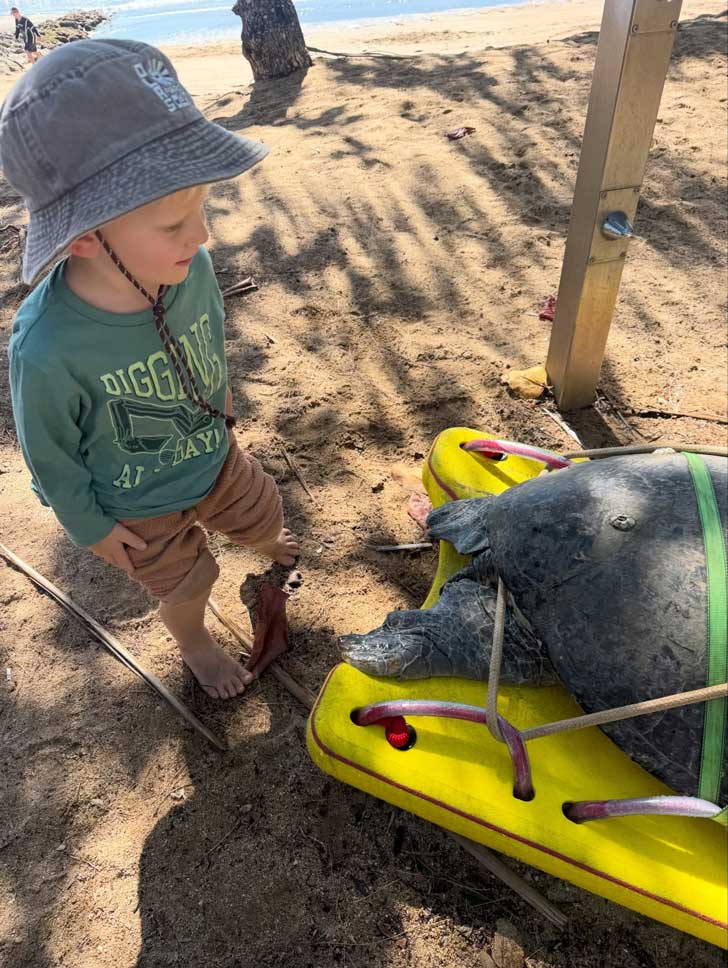A young boy stands next to a large sea turtle