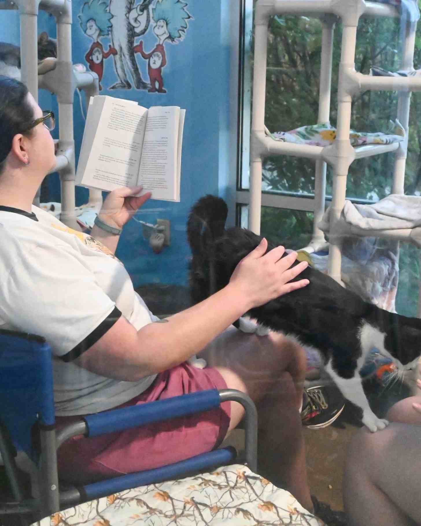 A person reads aloud from a book to a cat in a shelter