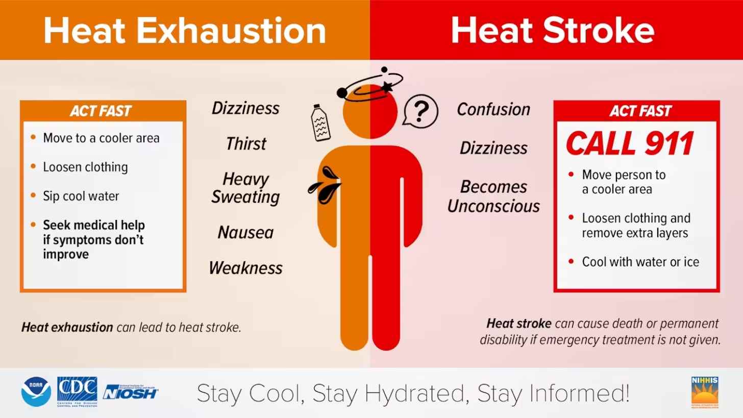 An illustration showing symptoms associated with heat exhaustion, such as dizziness, heavy sweating, nausea and weakness; and with heat stroke, including confusion, dizziness and passing out.
