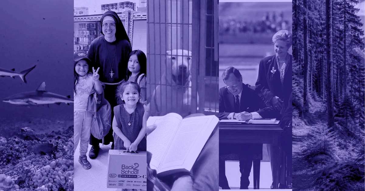 A photo collage of a shark swimming underwater, a nun and three girls posing for a photo together, a dog inside a cage with an open book in the foreground, a man signing a document with a woman behind him, and a forest