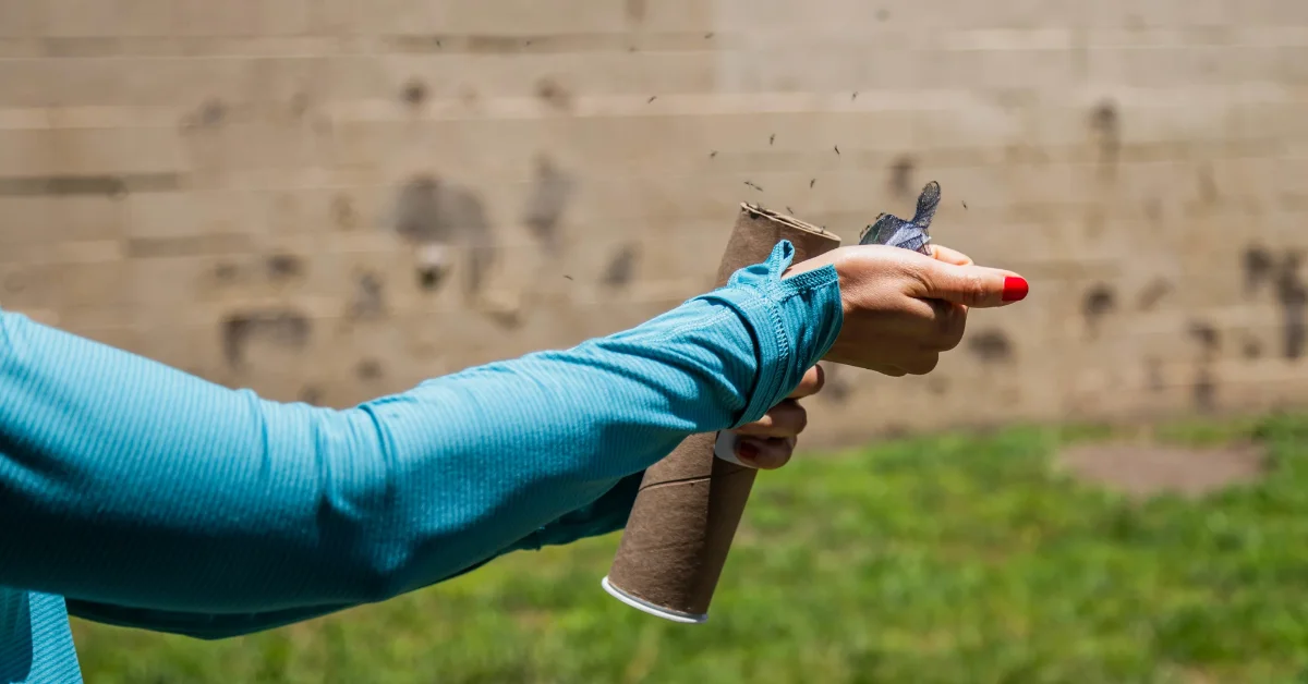 A person wearing a blue long-sleeved shirt releases mosquitoes from a tube with a brick wall and green grass visible in the background.