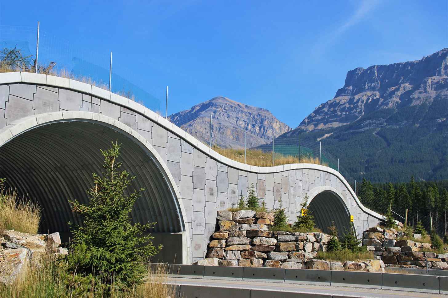 One of the dozens of wildlife overpasses that allow safe passage for animals in Canada’s Banff National Park. Image by Ben Goldfarb.