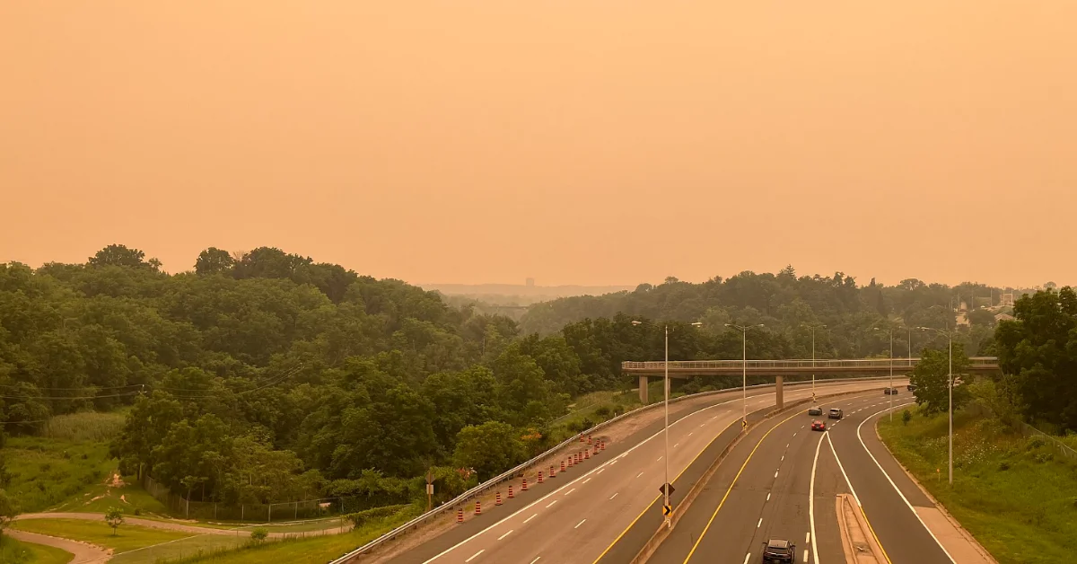 A road lined with trees. The sky is orange and hazy from wildfire smoke.