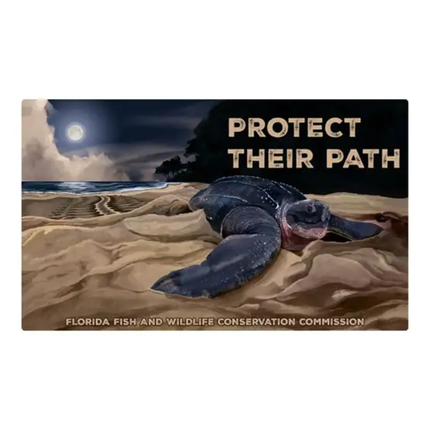 Sea turtle on sand at night with moonlit ocean and beach in background. Text reads "PROTECT THEIR PATH" and "FLORIDA FISH AND WILDLIFE CONSERVATION COMMISSION."