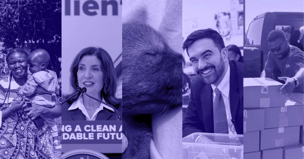 A photo collage of a mom holding her child, New York Gov. Kathy Hochul standing in front of a lectern, a red wolf puppy, New York City Mayor Zohran Mamdani, and a man stands next to a pile of boxes