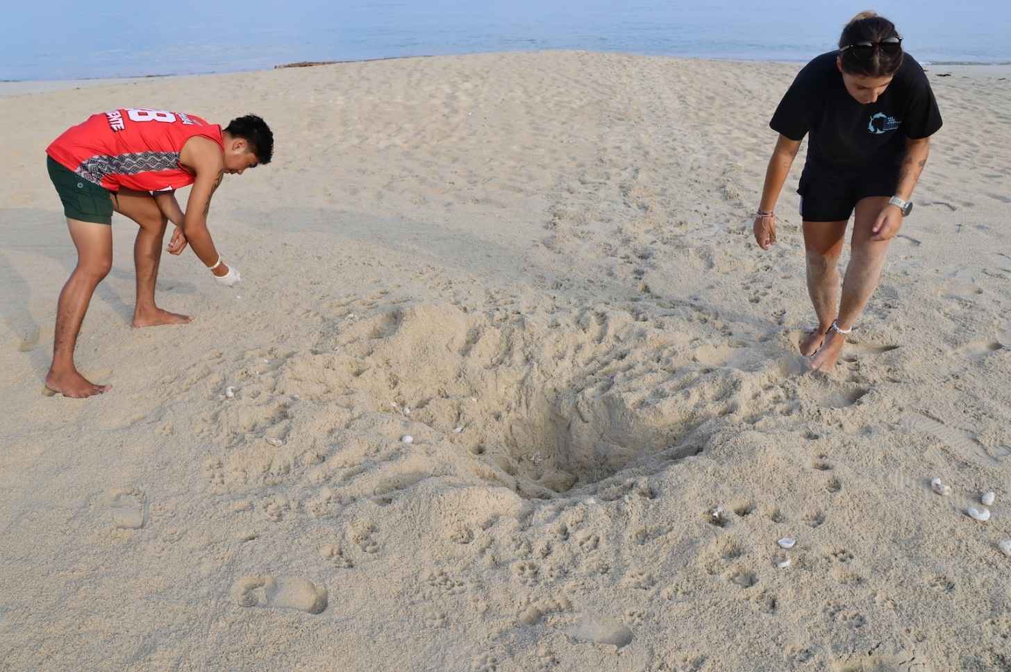 LAMAVE patrollers find a predated nest in Santo Niño, San Vicente, Palawan, April 2026. Image by Rachel Duckett for Mongabay.