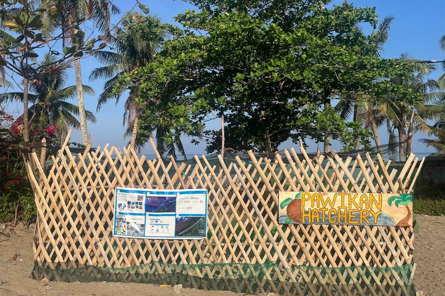 One of LAMAVE’s two hatcheries in Santo Niño, San Vicente, Palawan. Pawikan is the Filipino word for sea turtle, April 2026. Image by Rachel Duckett for Mongabay.