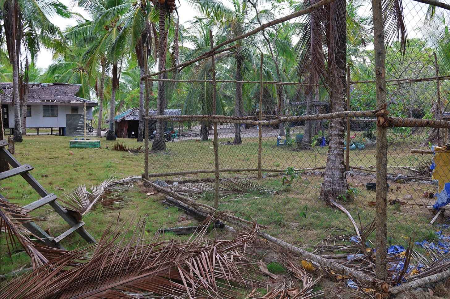A fence keeps dogs away from the beach at night. Santo Niño, San Vicente, Palawan, in April 2026. Image by Rachel Duckett for Mongabay.