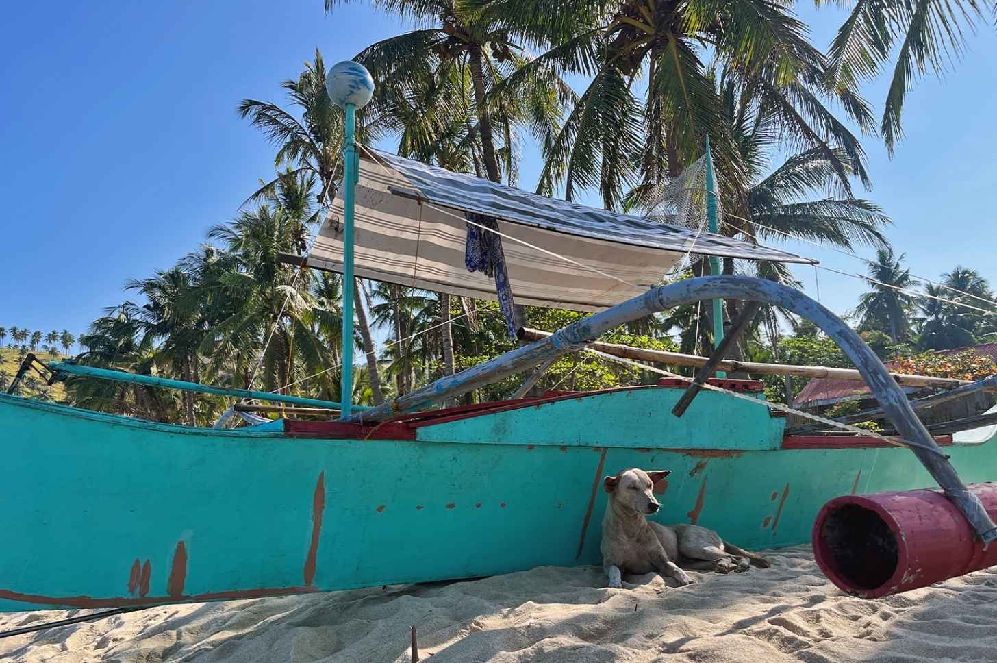 A dog lounges by the shade of a fishing boat on the beach of Santo Niño, San Vicente, Palawan, April 2026. Image by Rachel Duckett for Mongabay.