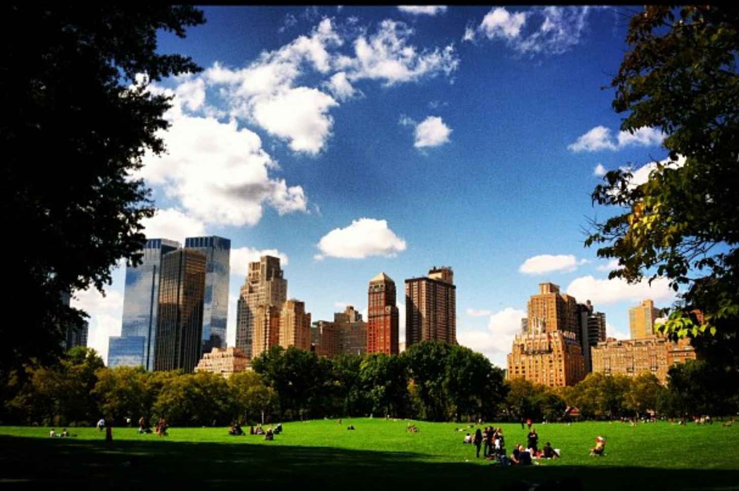 Central Park in New York City, New York