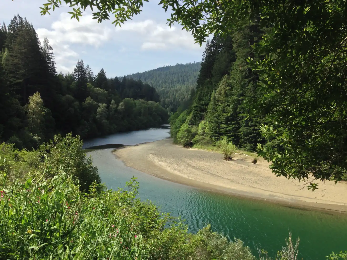 A sandy beach curves along a river bordered by dense coniferous forest and forested mountains under partly cloudy sky.