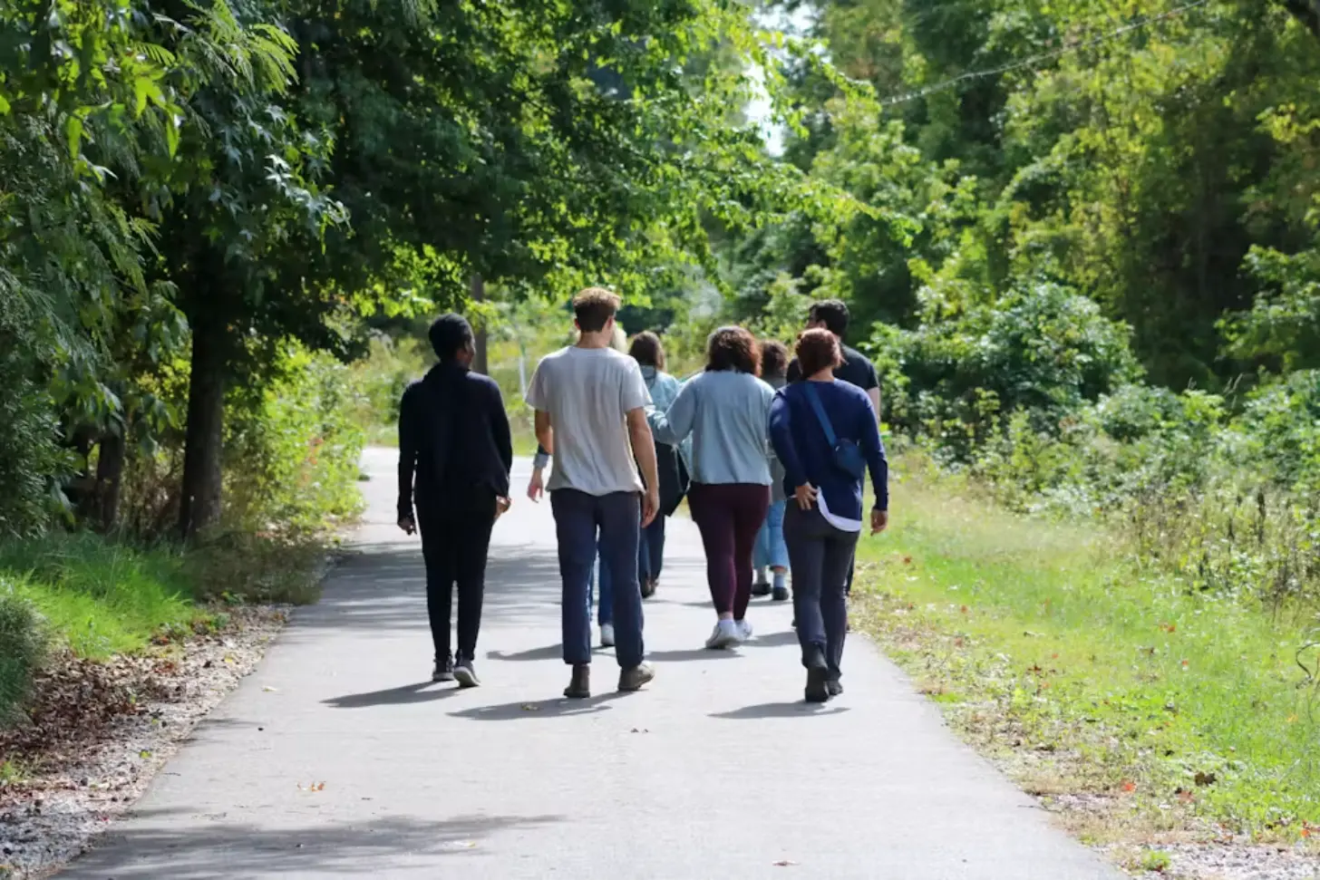 A group of eight people walking away from the camera on a paved path lined with dense green trees and vegetation on both sides.