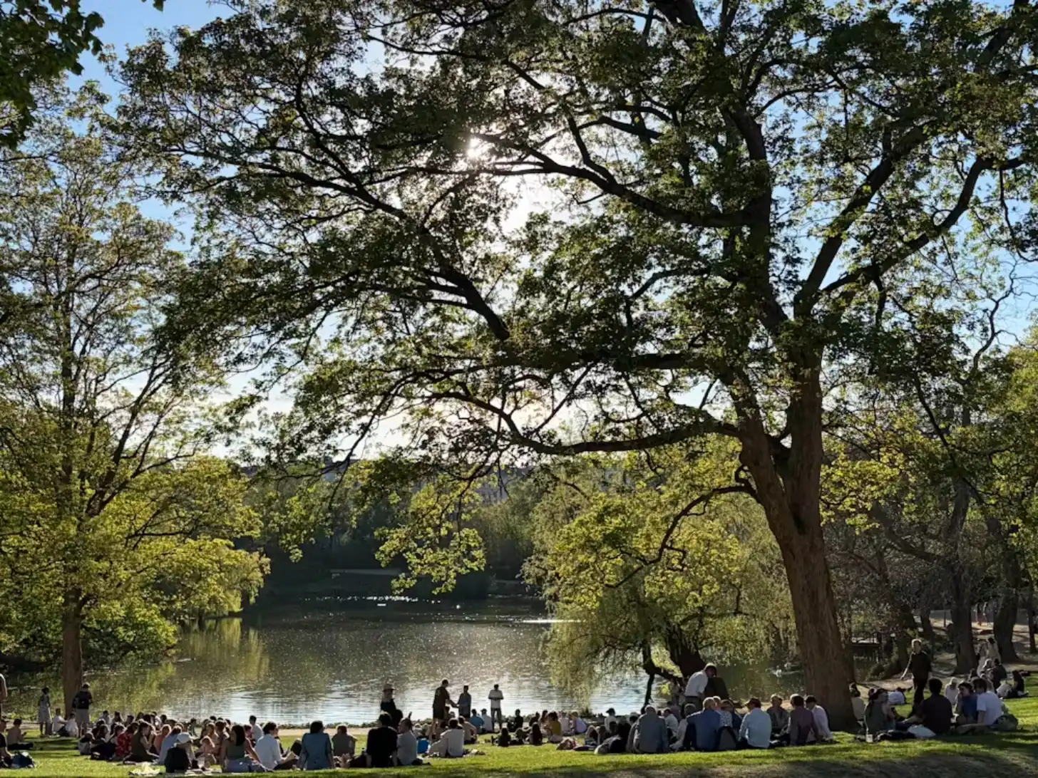 Dozens of people sit on grass beside a calm river lined with large trees on a sunny day.