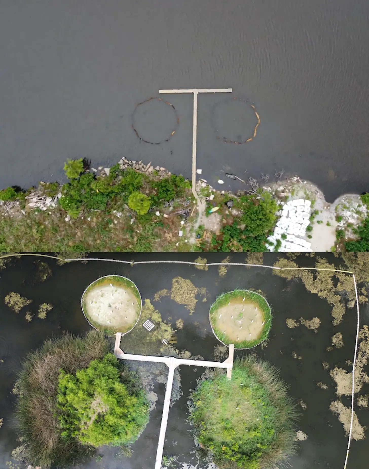 Aerial view of two circular pools with vegetation and measuring equipment in a wetland or marsh area, with two circular rope markers visible in the upper water section.