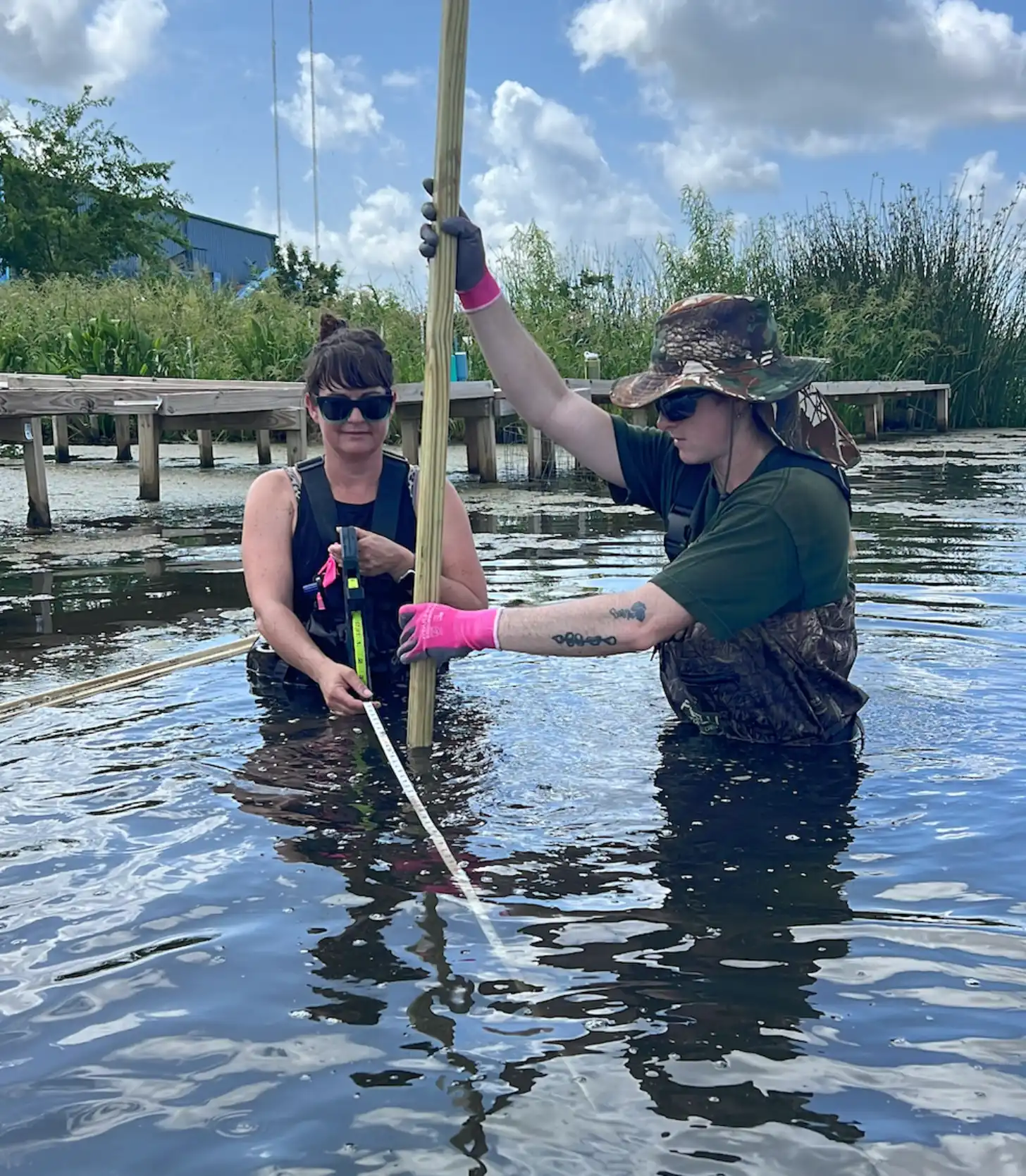 Two women in water holding a wooden pole during what appears to be a scientific or environmental sampling activity, with a wooden dock and vegetation visible in the background.