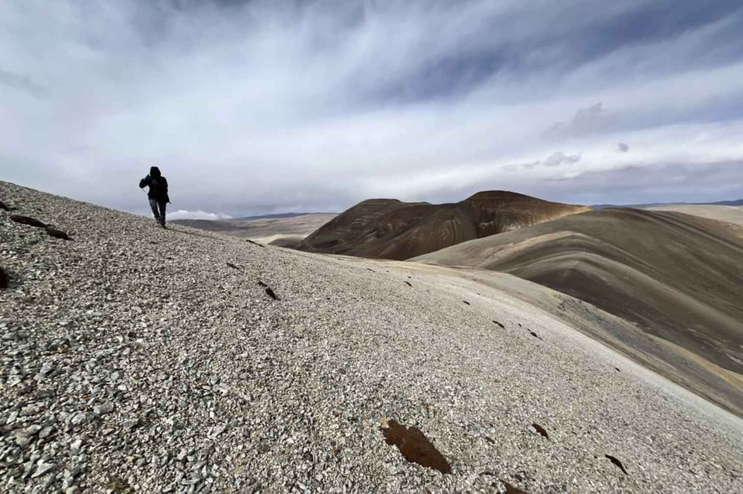 At the Tso Lhamo plateau in Sikkim, researchers captured camera-trap images of a Eurasian lynx, along with several other elusive species. High-altitude rangelands like this region have wrongly been dismissed as barren deserts of little ecological value. Image courtesy of Forest & Environment Department, Sikkim, and WWF-India.