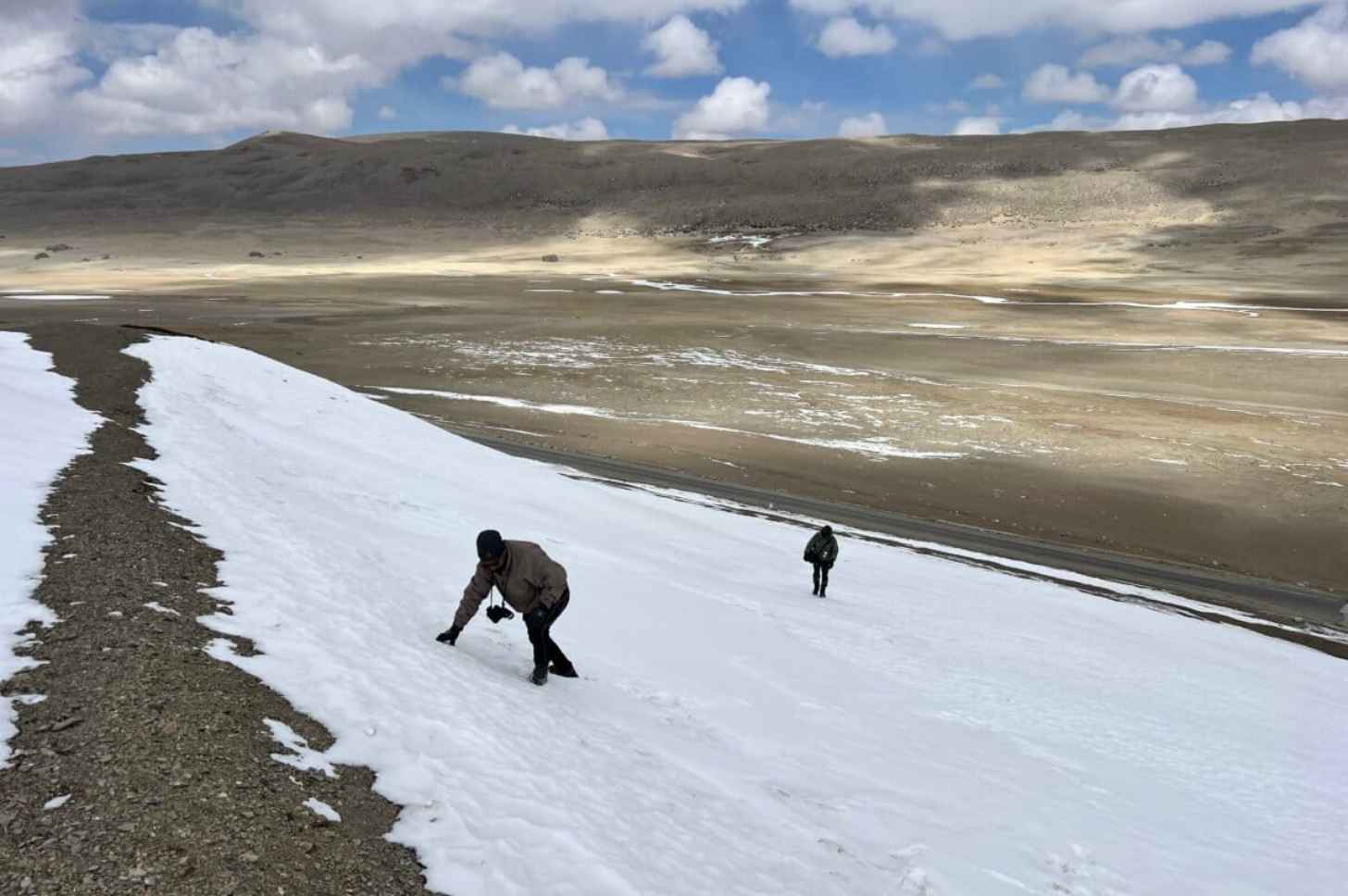 Researchers look for signs of wildlife movement in the trans-Himalayan rangelands. Courtesy of Forest & Environment Department, Sikkim, and WWF-India.