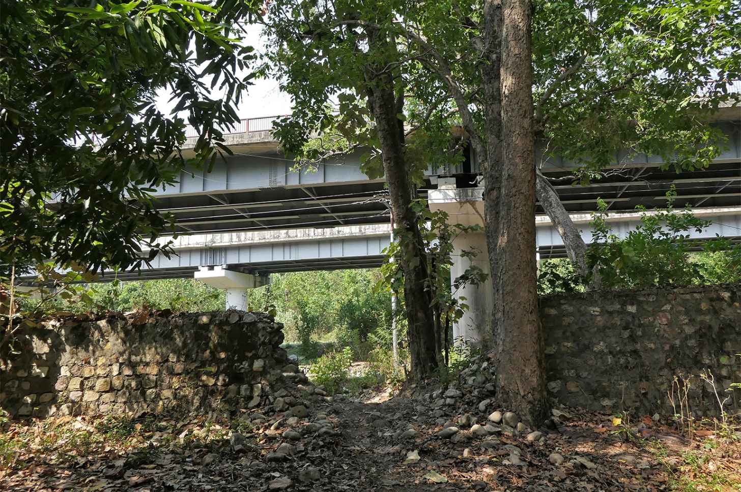 Teen Pani, or Three Waters underpass in Rajaji Tiger Reserve allows wildlife to move beneath the heavily trafficked National Highway 72 that runs northeast out of Delhi. Nirmal Ghosh/Mongabay