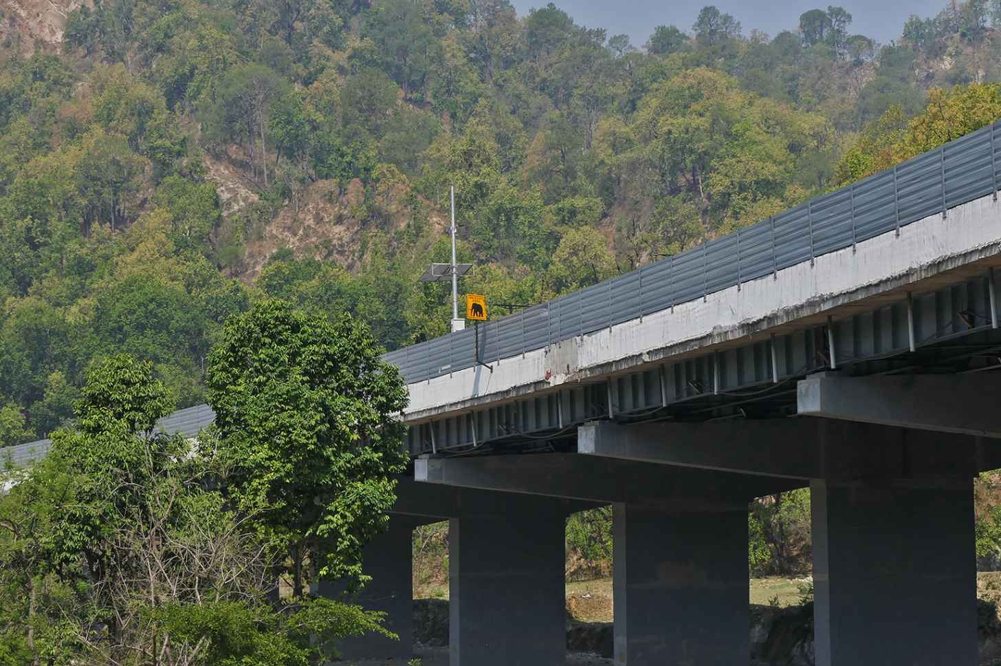 Ganeshpur Expressway and underpass at Mohand, Rajaji Tiger Reserve. Nirmal Ghosh/Mongabay