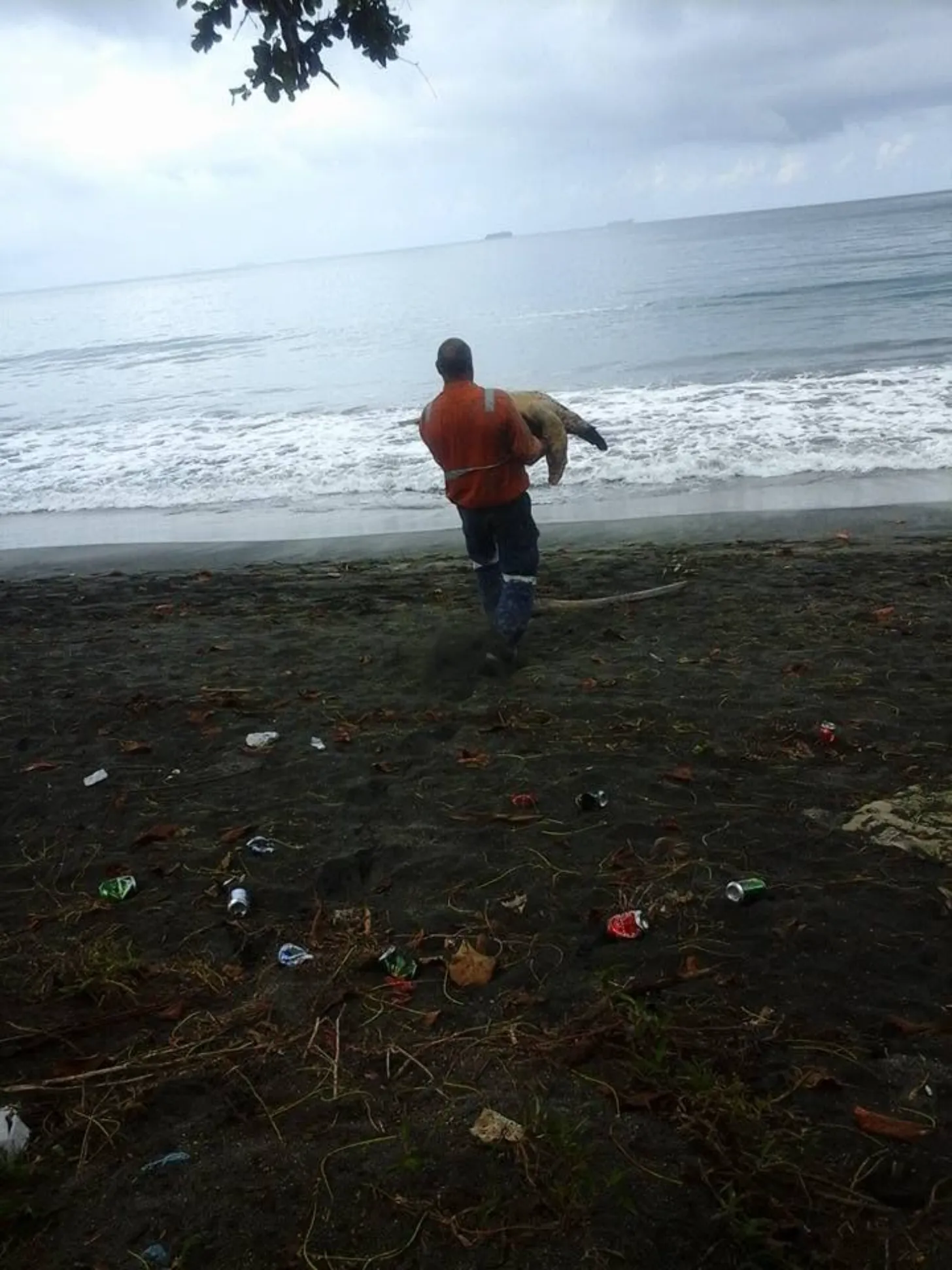 A person in an orange vest runs along a beach carrying a sea turtle, with plastic debris and seaweed scattered across the dark sand in the foreground.