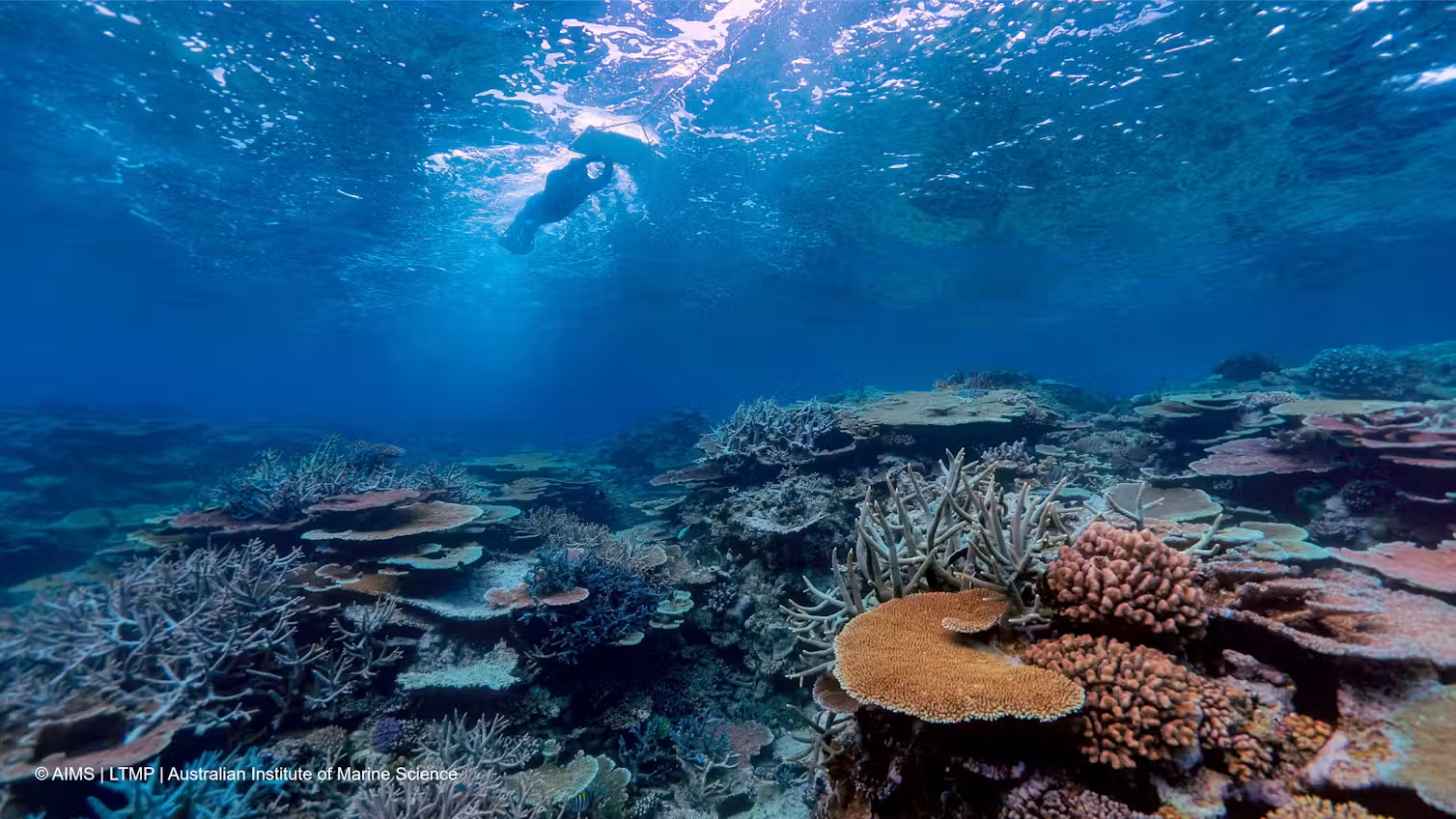 Scientists have been monitoring the health of the Great Barrier Reef for four decades. AIMS LTMP / CC BY-NC-ND