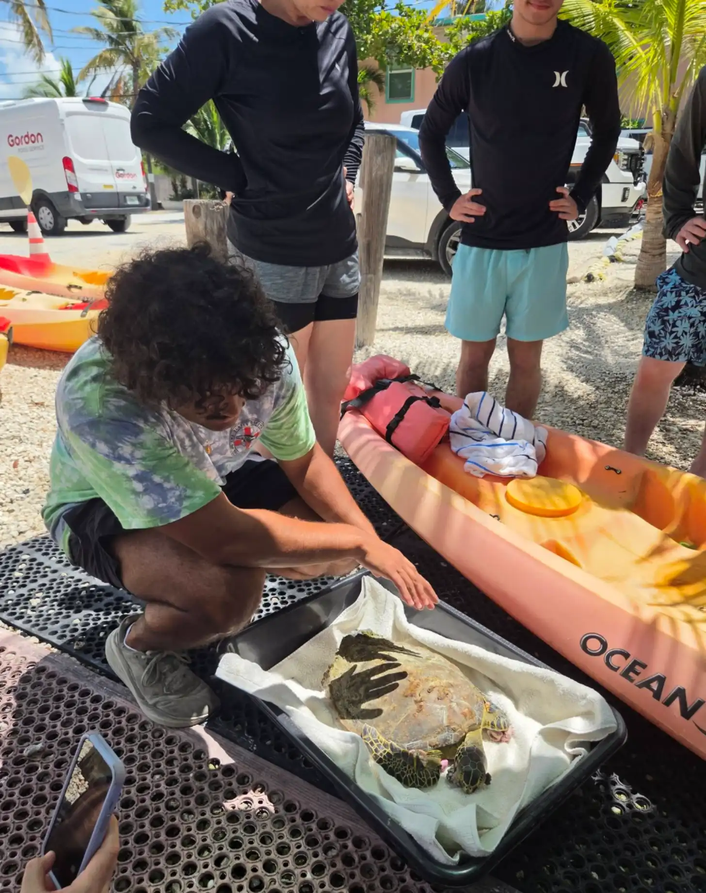 A man crouches beside a tray holding a sea turtle, examining it closely while adults stand nearby. An orange kayak labeled "OCEAN" is visible in the background at a beach location.