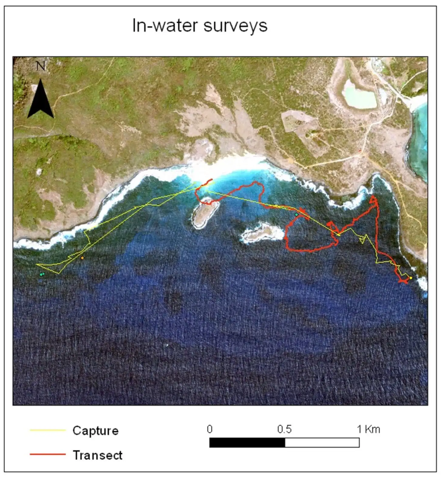 Aerial image of a coastal survey area showing forested land, cleared areas, and ocean water with white wave breaks. Yellow lines indicate "Capture" routes and red lines show "Transect" survey paths. Scale bar shows 0 to 1 kilometer.