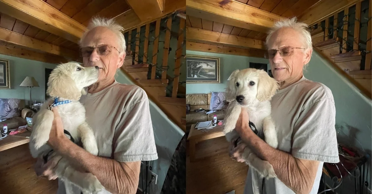 An older man wearing glasses and a gray shirt holds a cream-colored dog with a blue collar in a wooden-beamed interior. Two similar photos show the man and dog in slightly different positions.