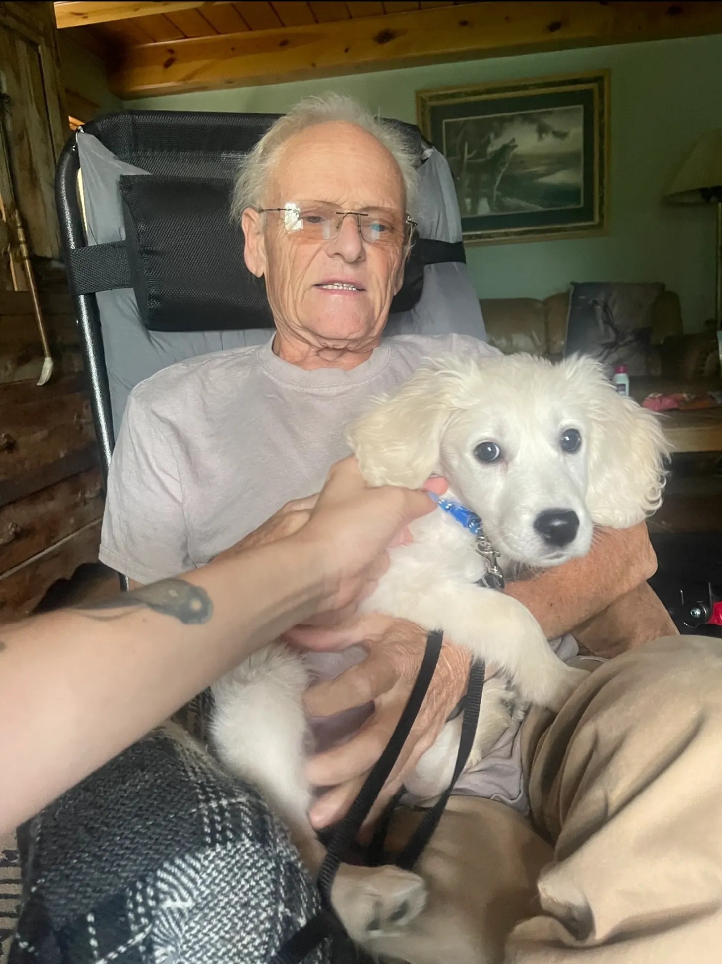 An older man wearing glasses and a gray shirt holds a white dog with a blue collar while sitting in a chair. A person's arm is visible in the foreground petting the dog.
