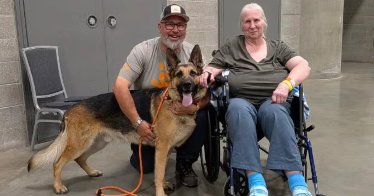 A man holding a leash next to a tan and black dog with its tongue out, and a woman in a wheelchair, all posing together indoors.