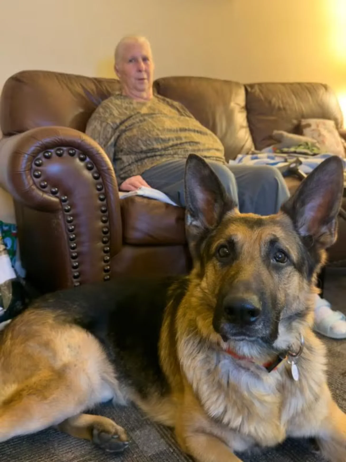 A tan and brown dog with pointed ears sits in the foreground looking at the camera, while a woman in a gray sweater reclines on a brown leather couch behind it.
