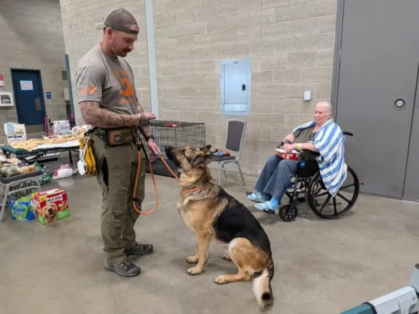 A handler in a gray shirt holds a leash attached to a German Shepherd sitting on concrete flooring. A person in a wheelchair wearing a blue and white striped shirt sits nearby watching the dog demonstration indoors.