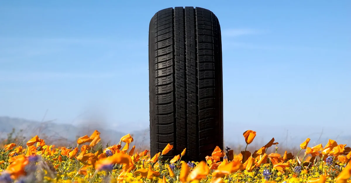 A large black tire stands upright in a field of yellow and purple wildflowers against a clear blue sky.