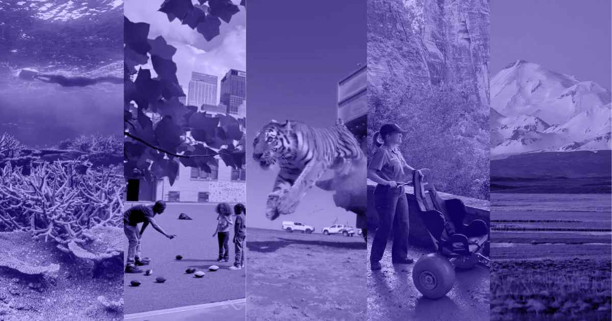 A photo collage of a coral reef underwater, a man and two children at a playground, a tiger jumping out of the back of a truck, a woman holding an all-terrain wheelchair in the outdoors, and a field and a mountain