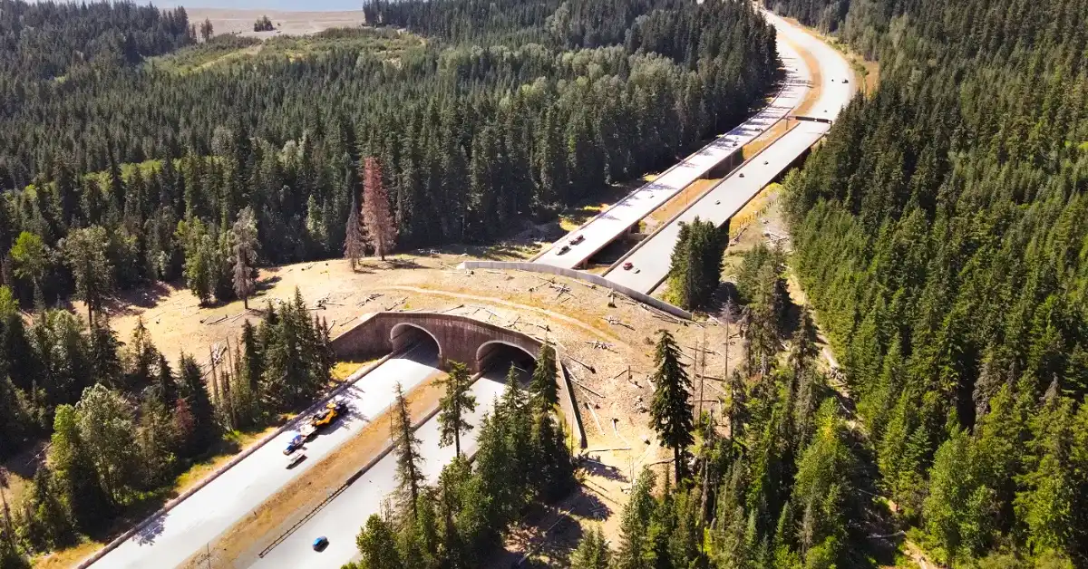 Aerial view of a highway with two tunnels carved through a forested mountainous area. A long freight train travels on parallel tracks alongside the highway through the dense coniferous forest.