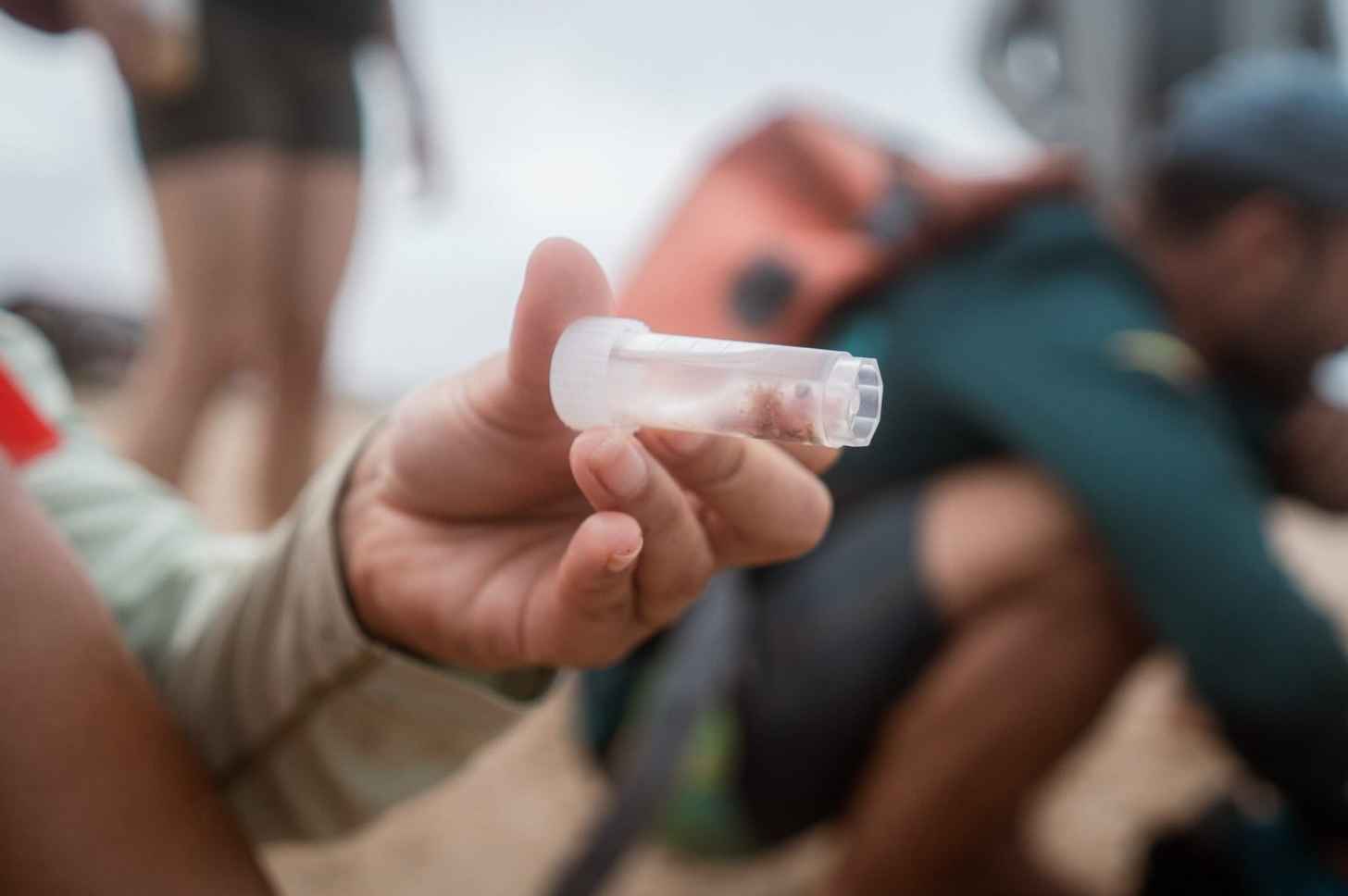 A marine biologist working with Proyecto Puyuii holds a small vial containing a smooth-hound shark embryo, taken from the carcass of its caught mother.