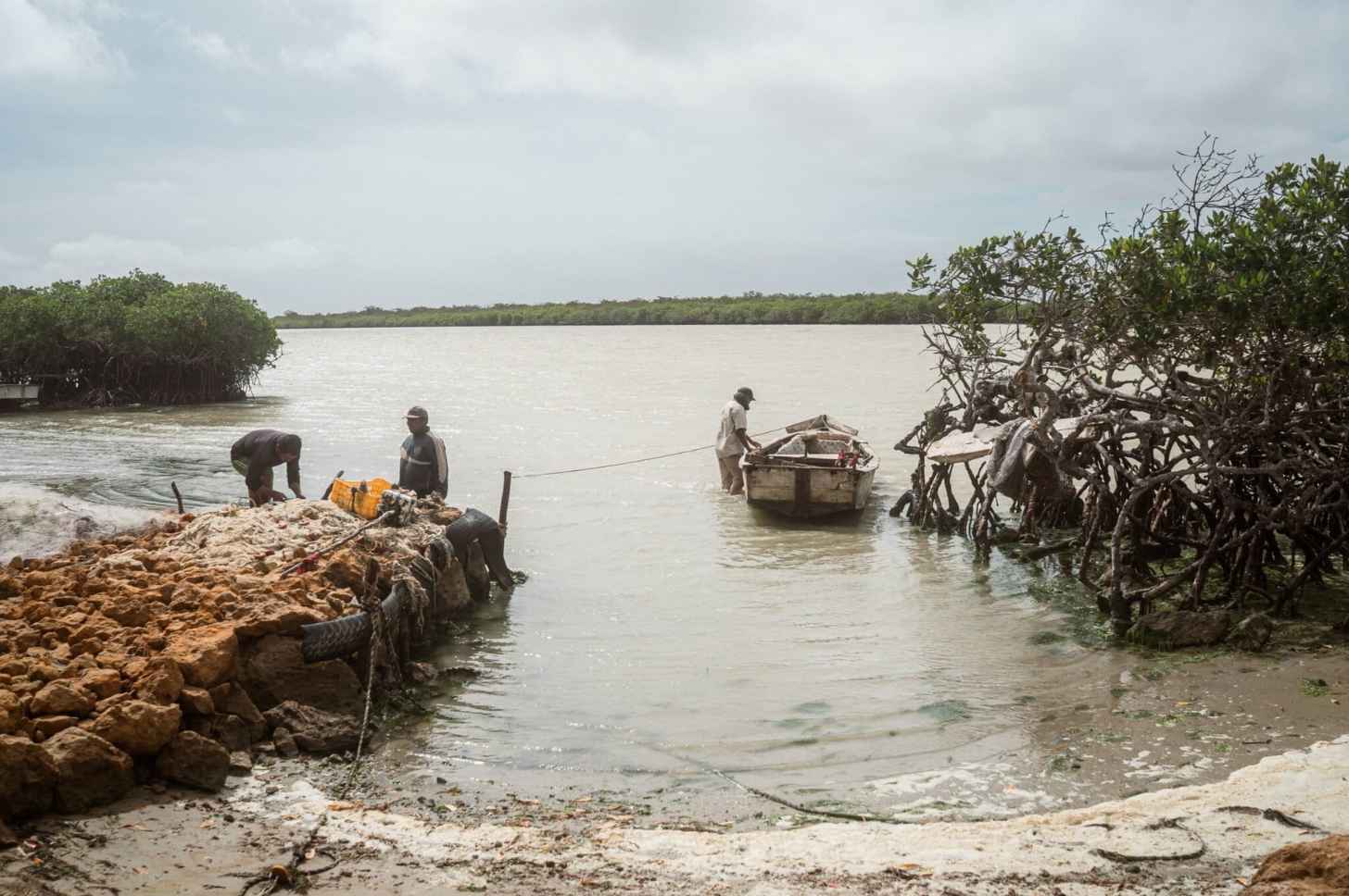 Amid the mangroves, Wayuu fishers unload the day’s catch onto the beach.