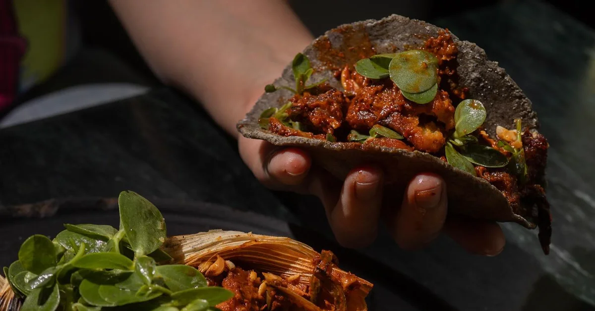 A person's hand holds a taco with a dark tortilla filled with reddish-brown cooked meat and garnished with small green leaves. A similar taco is partially visible in the lower left corner.