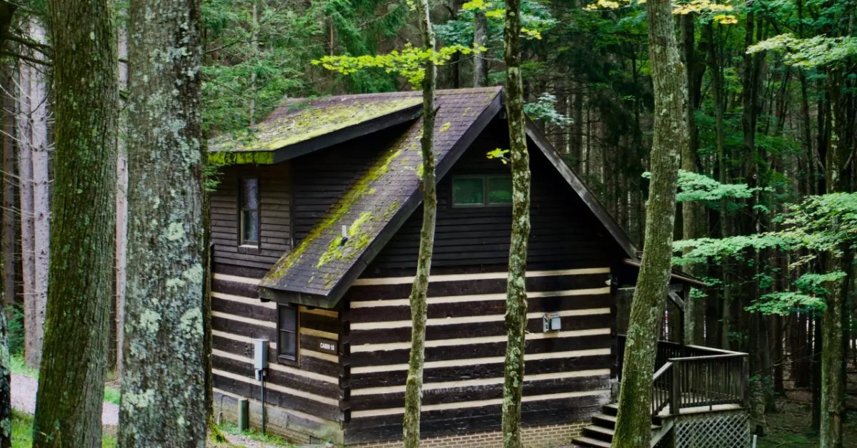 A dark wooden log cabin with a steep pitched roof covered in moss sits among tall trees in a dense forest. The cabin has horizontal log walls, small windows, and wooden steps leading to an entrance, with a wooden deck visible on the right side.