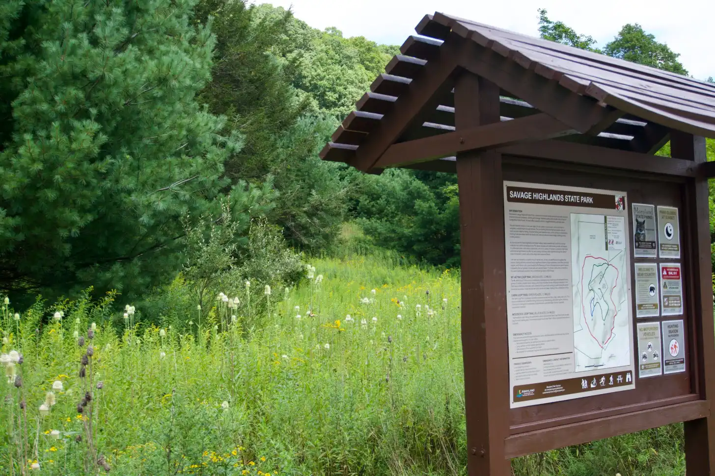 A brown wooden informational kiosk with a peaked roof stands beside a wildflower meadow with white, yellow, and purple flowers. The kiosk displays a map and information panels labeled "Savage Highlands State Park."