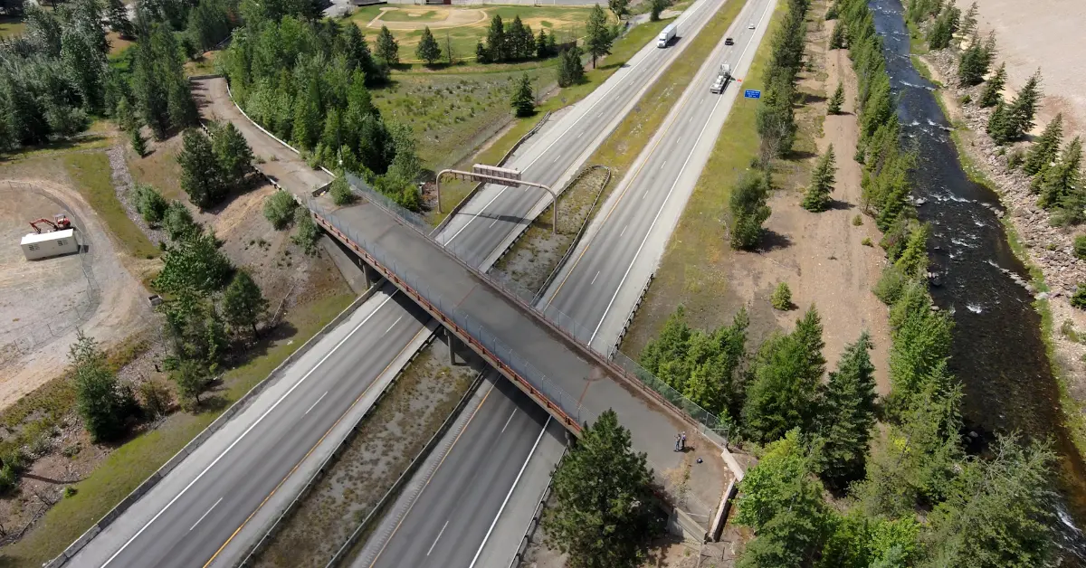 Aerial view of a divided highway with an overpass crossing above it, surrounded by coniferous forest and a river visible on the right side.
