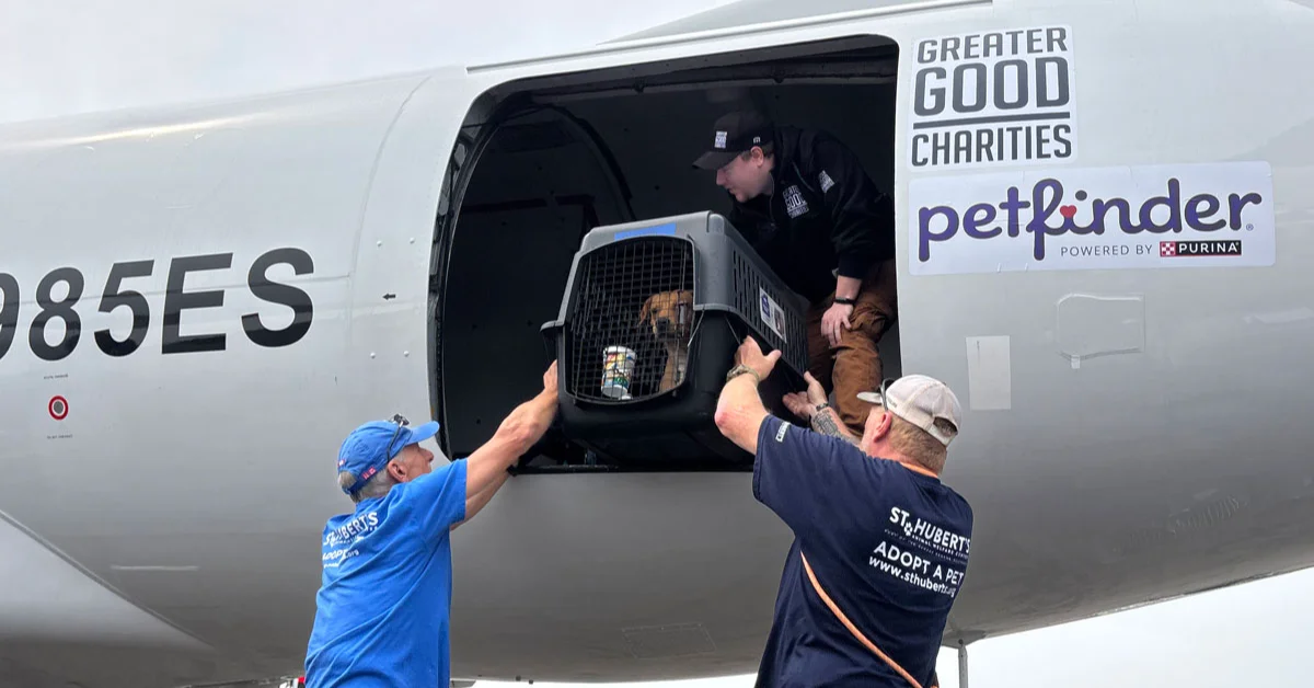 Two workers load a pet carrier into the cargo door of a white aircraft labeled "Greater Good Charities petfinder powered by Purina." A brown dog is visible inside the carrier.